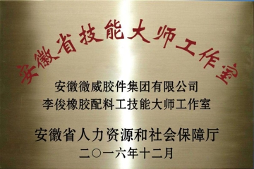 Provincial skills Master studio
