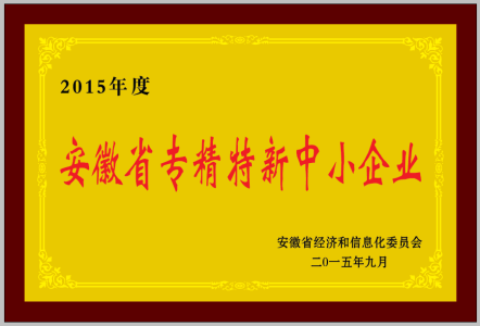 Anhui Province specialized special new center enterprises