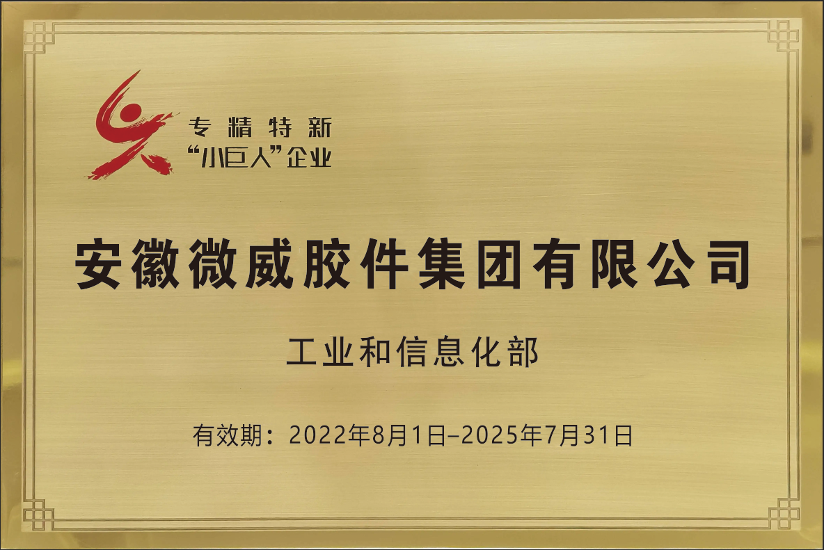國家專精特新小巨人企業