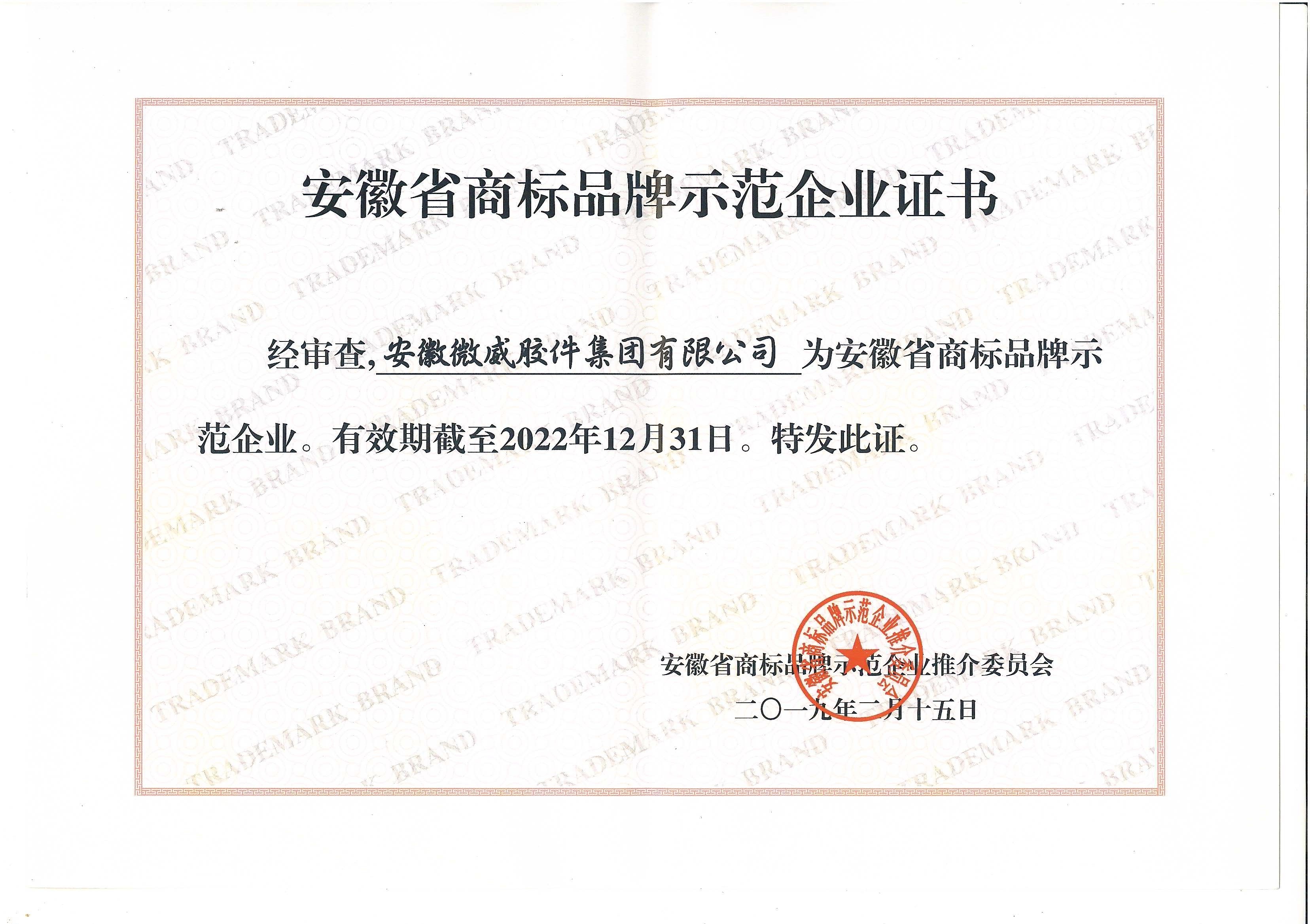 安徽省商標品牌示范企業.jpg